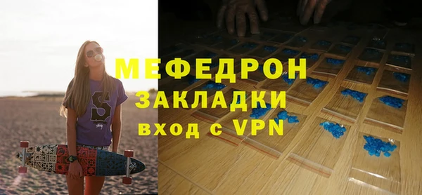 индика Богородицк