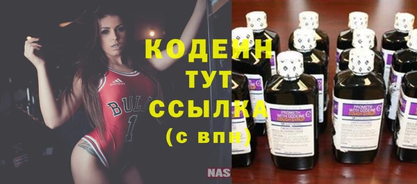 индика Богородицк