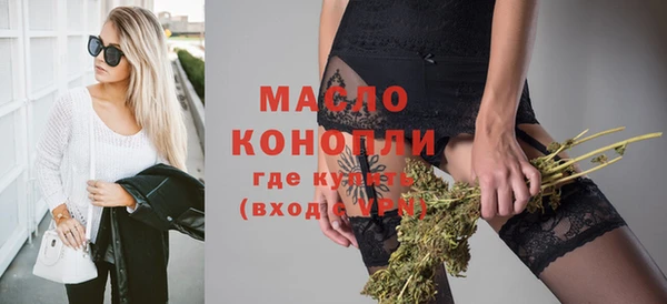 индика Богородицк