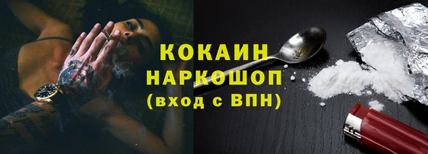 индика Богородицк