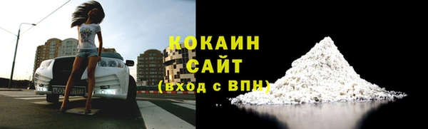 дживик Богданович