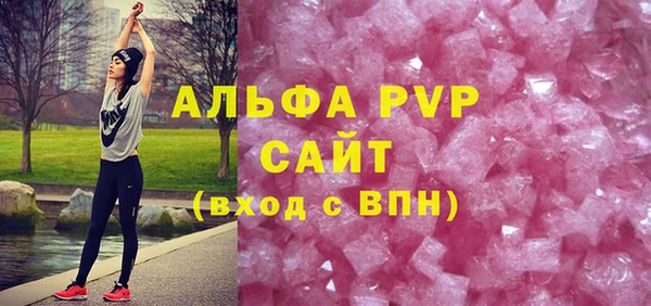 индика Богородицк