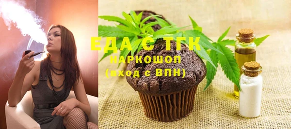 индика Богородицк