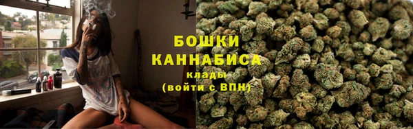 амф Богородск