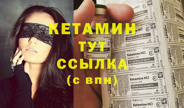 индика Богородицк