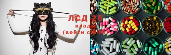 индика Богородицк